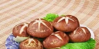 坐月子可以吃蘑菇吗