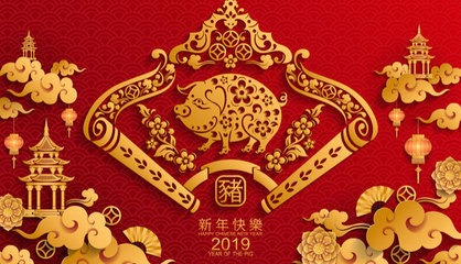 猪年2019年运势及运程