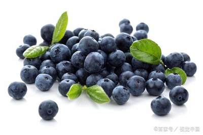孕妇吃蓝莓的好处
