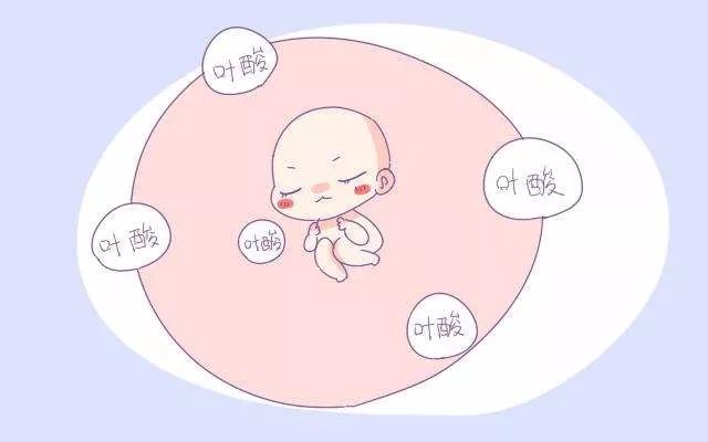 孕妇叶酸一天的量是多少
