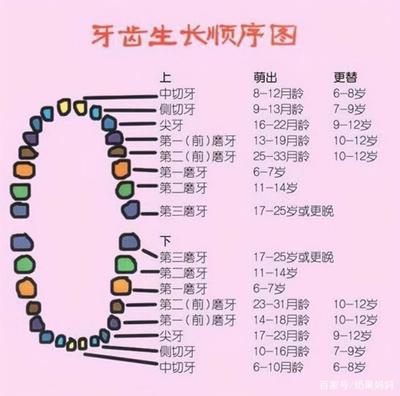小孩几个月开始长牙齿