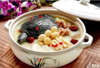 甲鱼宝宝能吃吗