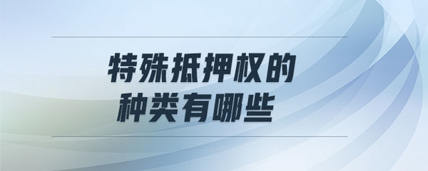 特殊动产抵押
