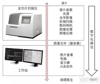 全自动电脑视野仪