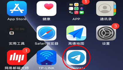 手机版纸飞机怎么设置中文