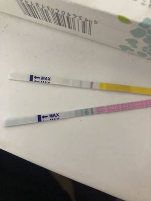 排卵期体温37.2正常吗