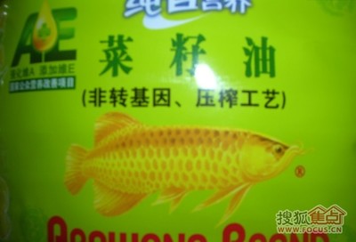 定南縣泳清觀賞魚店 全國水族館企業(yè)名錄