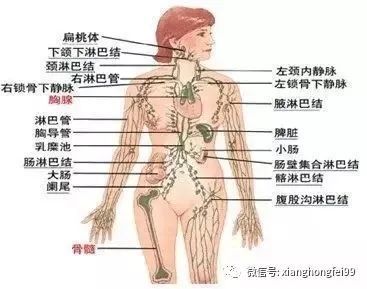 腋下有鼓包是怎么回事