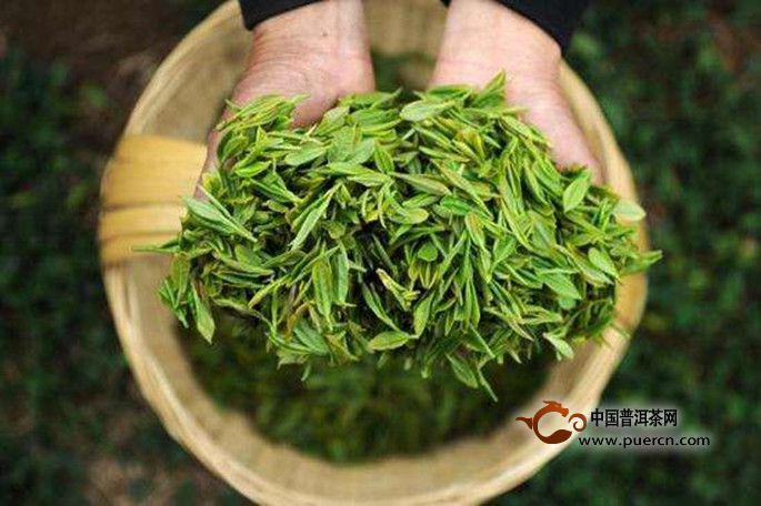 龙井茶怎么喝