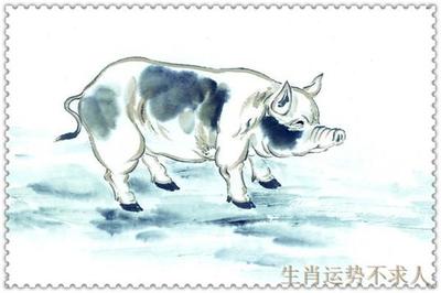 12生肖猪配什么生肖