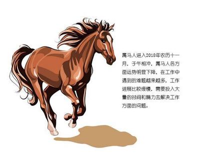 属马明年运势