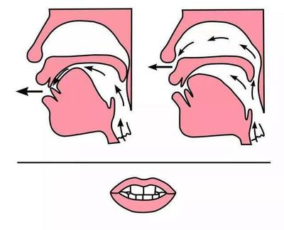 翘舌音怎么发音图解