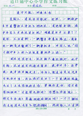 敬佩的作文生命的作文600字作文怎么写