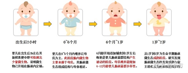 新生儿20天吃多少毫升