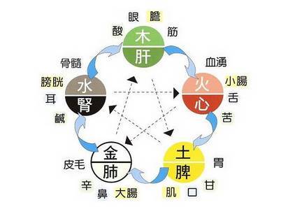 阴阳与五行