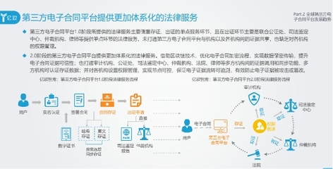 证据形式