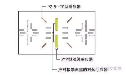 什么是十字型对焦点