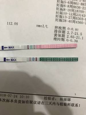 怀孕10周体温应该多少正常