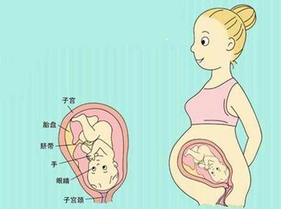 如何知道胎儿是否缺氧