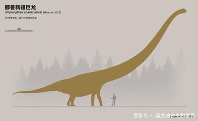 哪种恐龙脖子最长