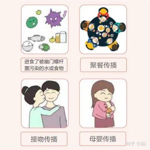 宝宝感染幽门螺旋杆菌