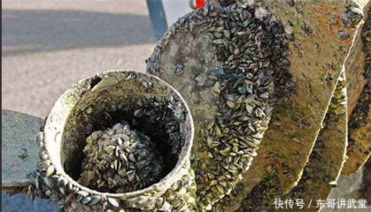 船舶腐蚀会影响