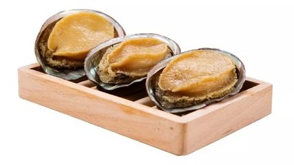 咳嗽能吃鲍鱼吗