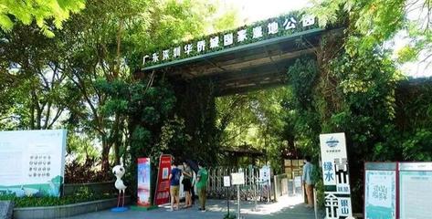 南山区哪里好玩