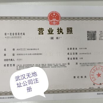 武汉代办个体营业执照