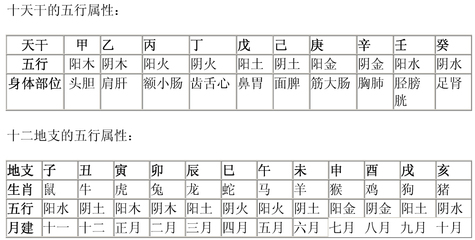 绿肖是哪几个生肖