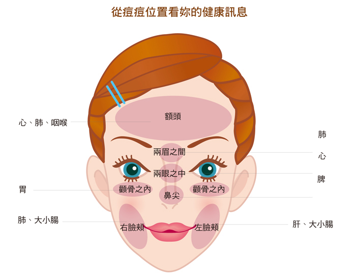 痘痘位置与健康