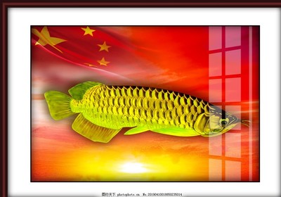 盤錦哪里賣魚缸便宜實惠的（盤錦哪里賣魚缸便宜實惠的魚）