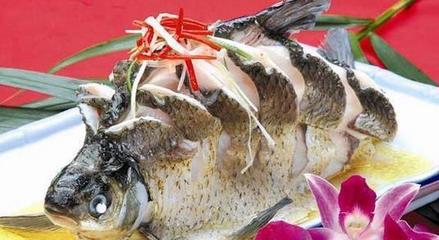 孕妇可以吃鲤鱼