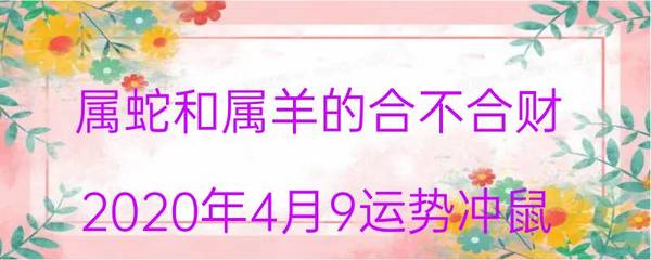 属羊的和属蛇的合财吗