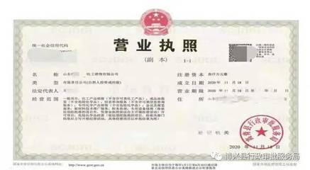 电子版营业执照