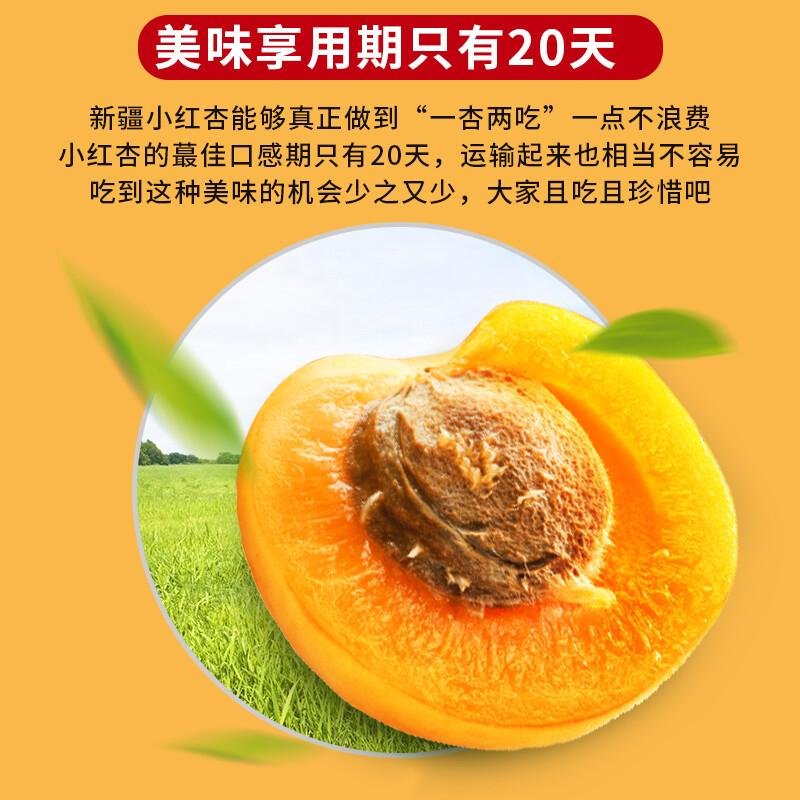红杏李可以吃吗