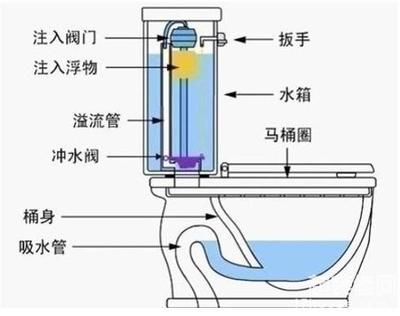 虹吸马桶原理