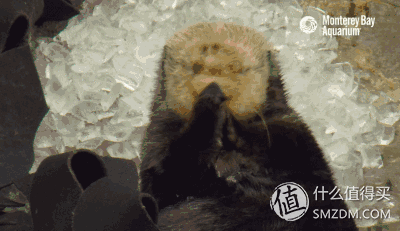 口腔冷冻疼么