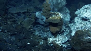 海底的黑烟囱是什么