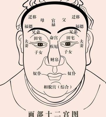面相兰台是什么意思
