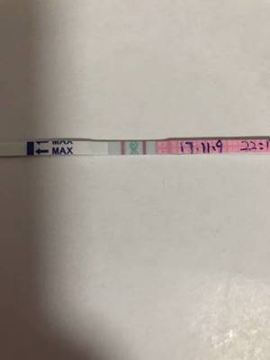 白带和排卵期的关系