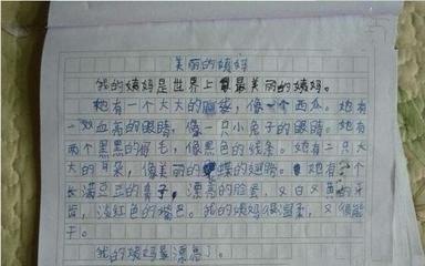 以书比喻成老师的作文怎么写