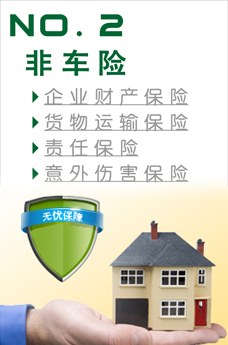 保险的案例