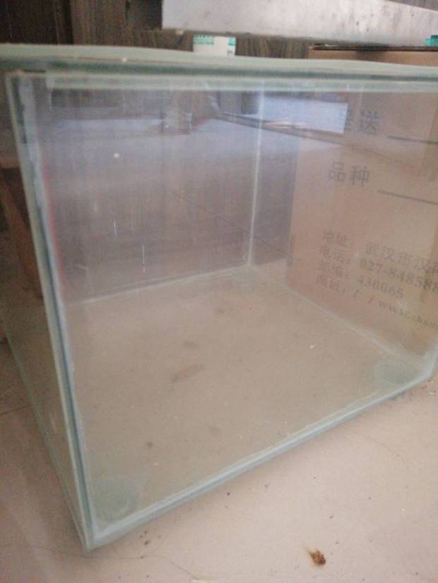 鱼缸用什么玻璃胶