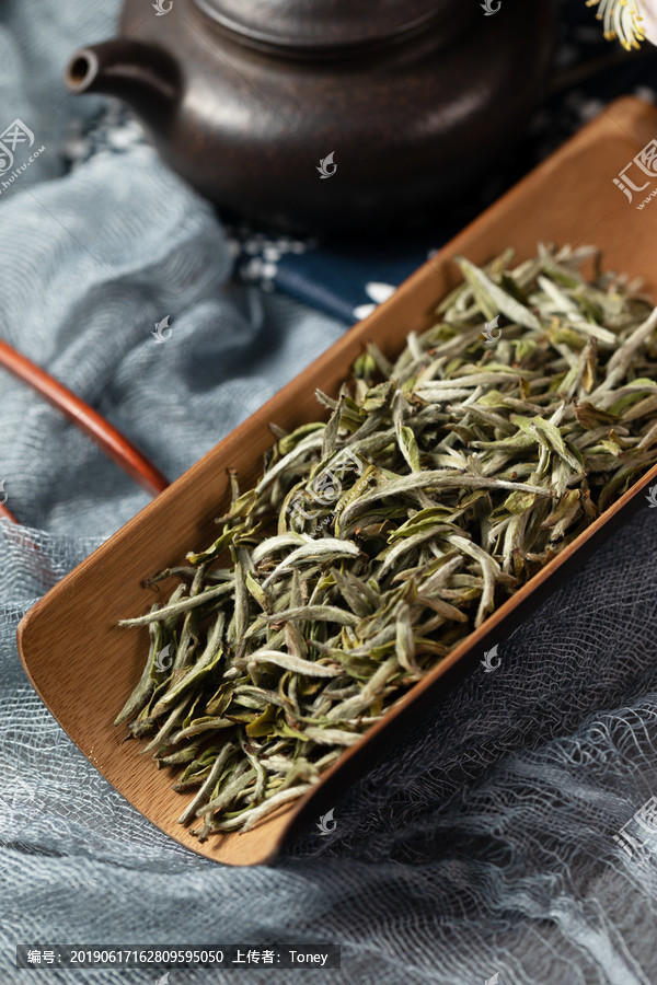 老白茶和白茶的区别