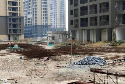 加固方案需要专家论证吗 结构桥梁钢结构施工 第5张 加固方案需要专家论证吗 结构桥梁钢结构施工 第5张