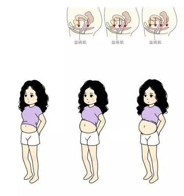 怀孕是哪里隆起