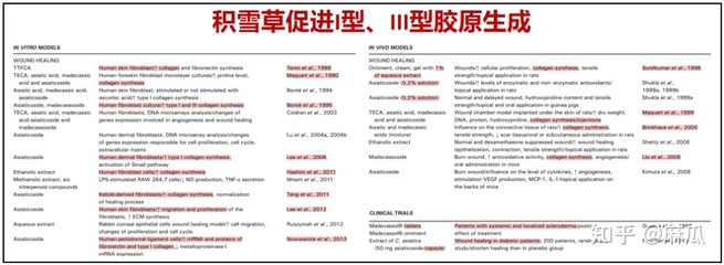 向字的介绍自己的家乡的作文怎么写