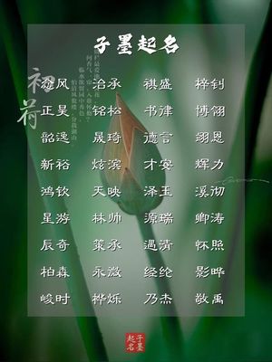 安取名字男孩
