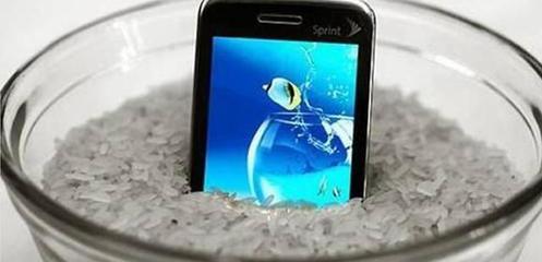 手机掉水里放大米里要多久
